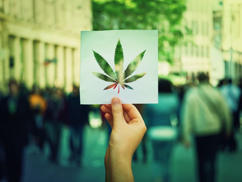 legalisierung von cannabis sinnvoll